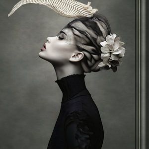 Voile