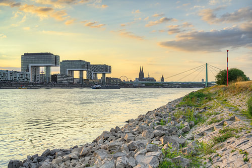 Am Rheinufer bei den Poller Wiesen in Köln von Michael Valjak