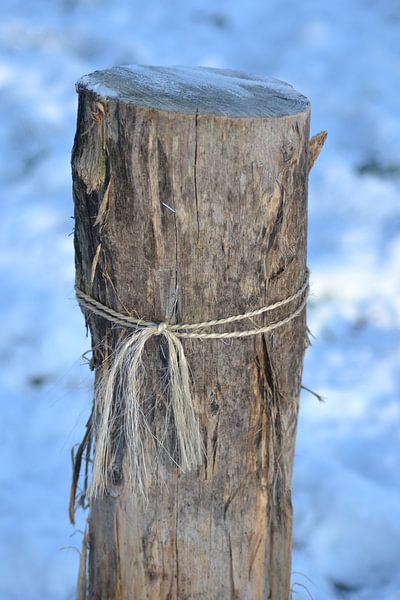 gebonden par Miranda Hummel