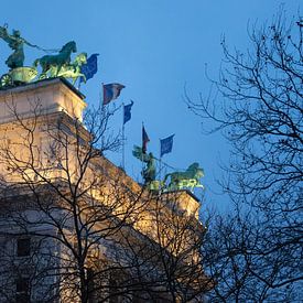 Das Museum der Schönen Künste in Antwerpen im Winter von Miss Dee Photography