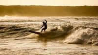 Surfer silhouette