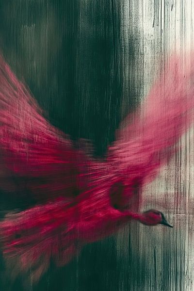 Pink bird's eye view by Franka Poulain