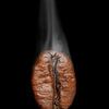 Kaffeebohne mit Rauch auf schwarzem Hintergrund. von Patrick van Os