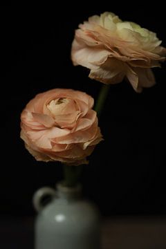 Ranunculus | beaux-arts photographie couleur nature morte | impression art mural sur Nicole Colijn