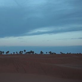 Sahara desert 7 a.m.  van Jerome Rosier