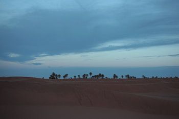 Sahara desert 7 a.m. 