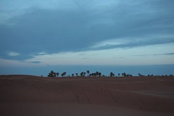 Sahara desert 7 a.m. 