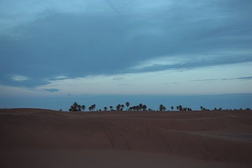 Sahara desert 7 a.m. 