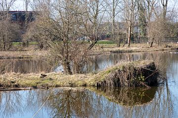 landschap in Spijkenisse van Joop Kalshoven
