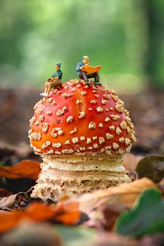 Miniature mensen: lezen een boek en krant op een paddenstoel van Jolanda Aalbers