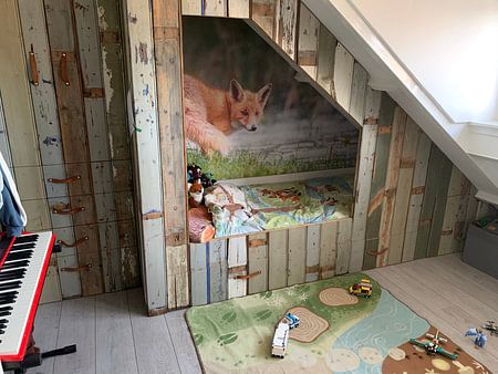 it's raining cats and foxes