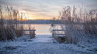Jetty with rising sun