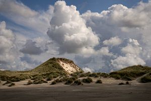 Dünen an der Küste von Terschelling
