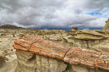 Bisti Badlands versteend hout in de winter New Mexico, VS van Frank Fichtmüller