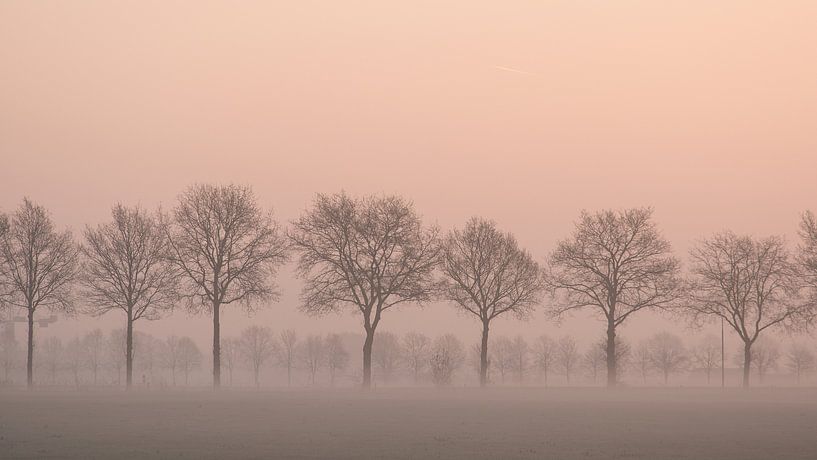 Bomenrij van Elles Rijsdijk