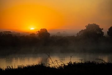 Zonsopgang Kruger National Park van Meleah Fotografie