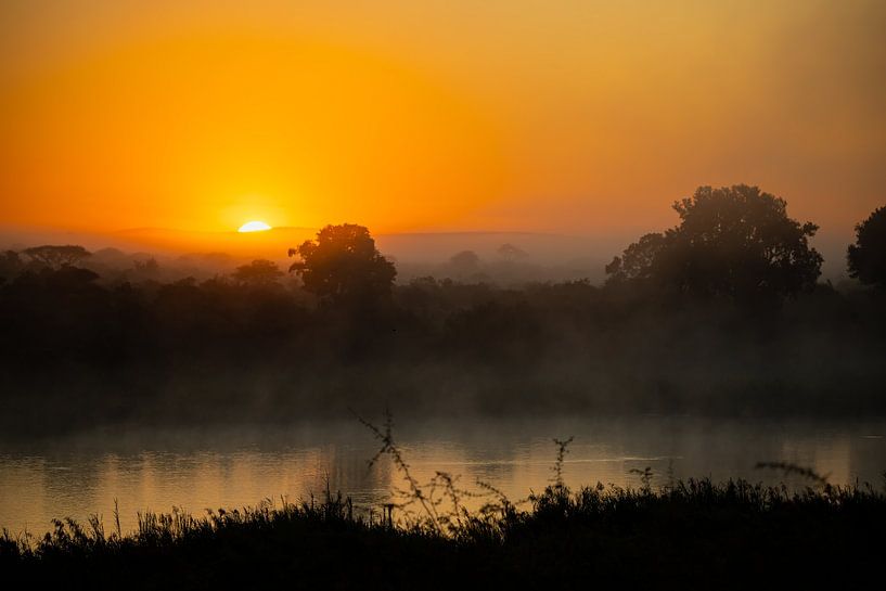 Lever de soleil dans le parc national Kruger par Meleah Fotografie