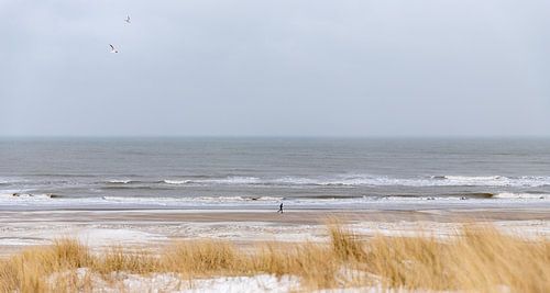 Panorama, hardloper op het strand