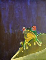 Rotaugenfrosch