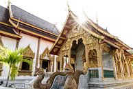 Tempel Thailand von Ingeborg van Bruggen Miniaturansicht