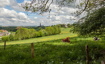 Blick auf Vijlen in Süd-Limburg im Frühling