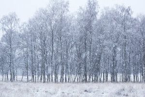 Jour de la neige