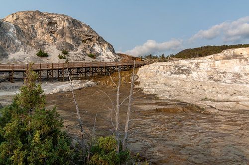 Yellowstone-Nationalpark