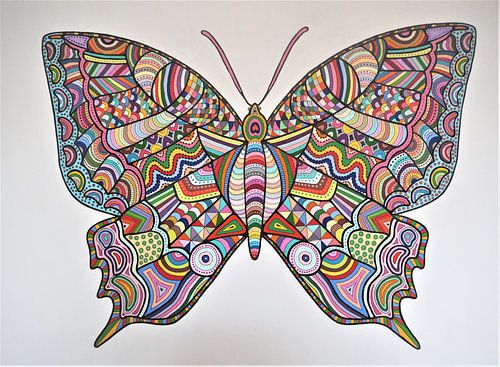 zeldzame vlinder, schitterend gemaakt in acryl en gouache. grote aandachtstrekker en een sieraad aan