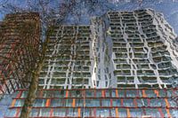 Calypso Westersingel