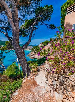 Coast bay in Canyamel Majorca Spain, Balearic islands by Alex Winter