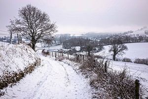 Winterstimmung in Gulpen von Rob Boon