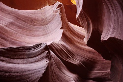 de geheimen van de natuur V