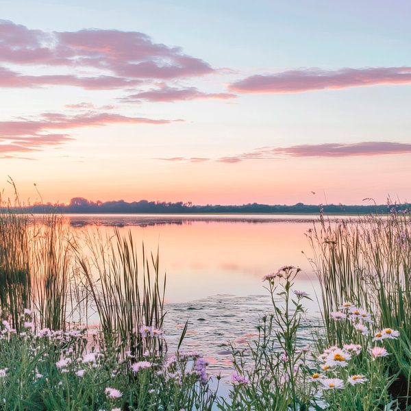 Dawn at the lake by Poster Art Shop