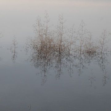 Wasser I von Ellen Snoek