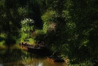 Spreewaldlandschaft