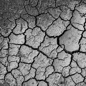 Texture of dried mud von MMFoto