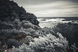 Warme Spuren im Grau von Patrick Kilb