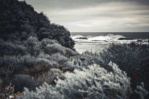 Des traces chaleureuses dans la grisaille