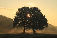 a new day