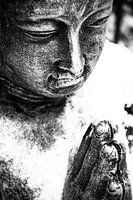Boeddha