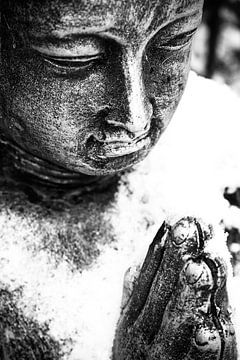 Boeddha van Jacqueline Lodder
