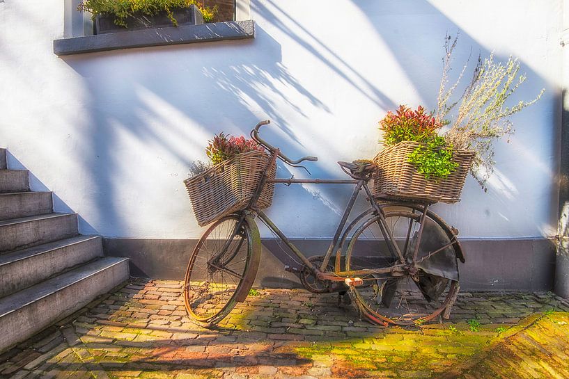 Flower Bicycles von Roland de Zeeuw fotografie