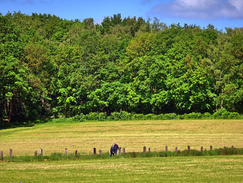Landbouwgrond 11 van Edgar Schermaul