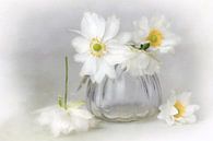 Flower Romantic - fine white von Lizzy Pe Miniaturansicht