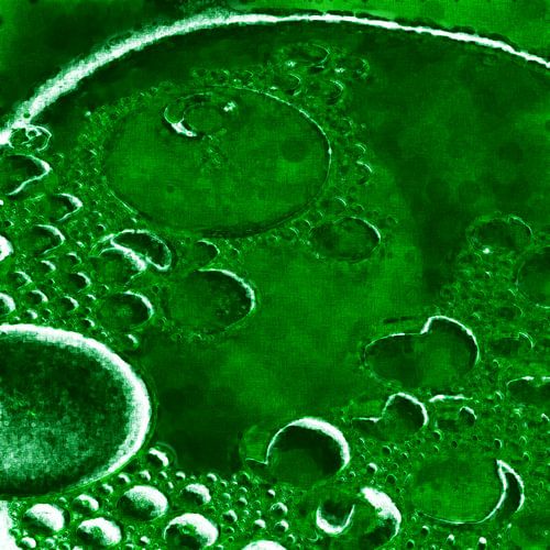 Abstract en tons de vert