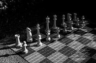 Schaakspel in zwart wit van Patrick Verhoef thumbnail