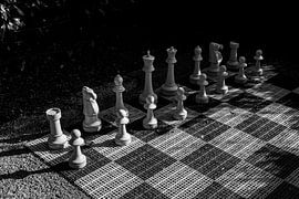 Schaakspel in zwart wit