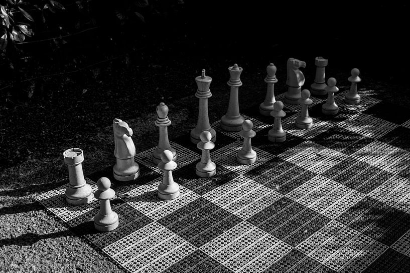 Schaakspel in zwart wit van Patrick Verhoef