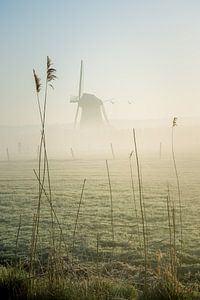 Mühle de Marsch im Nebel von Max ter Burg Fotografie