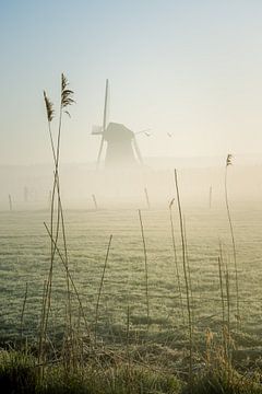 Mühle de Marsch im Nebel von Max ter Burg Fotografie